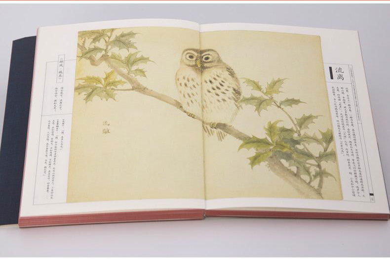 正版包邮 美了千年,却被淡忘:诗经名物图解 (日)细井徇 绘图